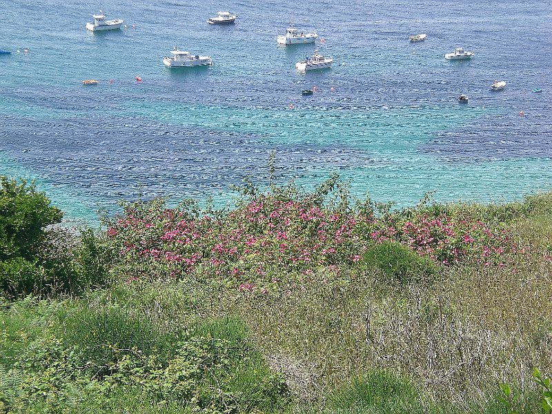 2010-06-13 26 18.JPG